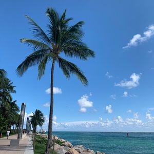 Meet your Posher, Holly